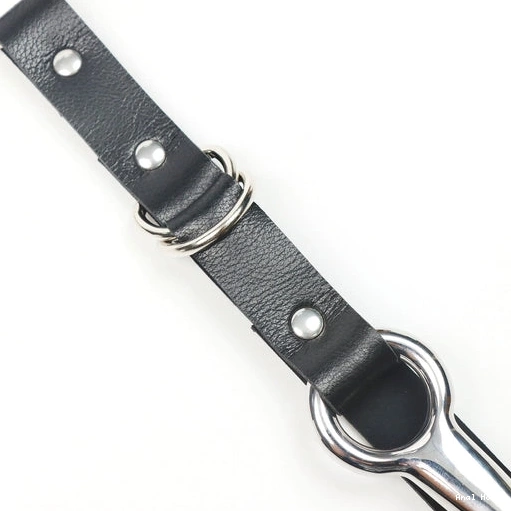 Anal Hook and Collar Kinky EverydayUse 5853 Leash with 0831